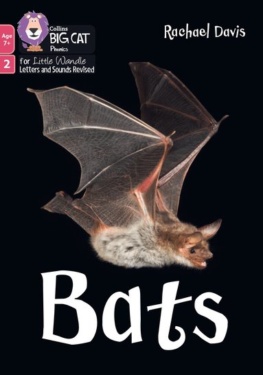 Rachael Davis - Bats, Häftad