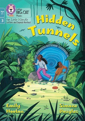 Hidden Tunnels 1