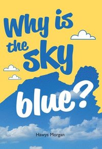 bokomslag Why is the sky blue?