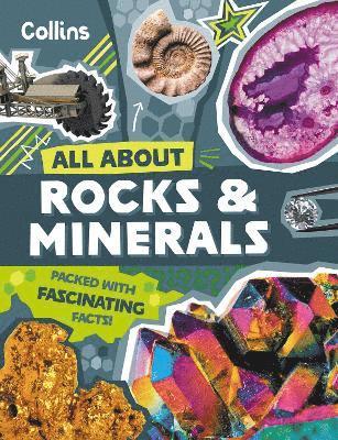 Rocks and Minerals