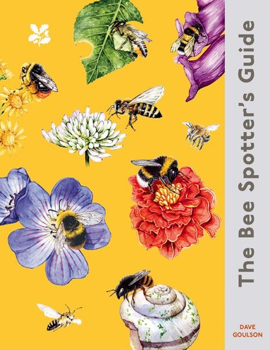 Dave Goulson - Bee Spotter’s Guide, Inbunden