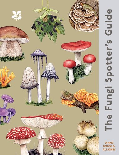 Lynne Boddy, Ali Ashby - Fungi Spotter's Guide, Inbunden