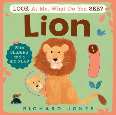 Richard Jones - Look at Me, What Do You See? Lion, Kartonnage