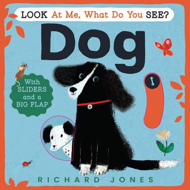 Richard Jones - Look at Me, What Do You See? Dog, Kartonnage