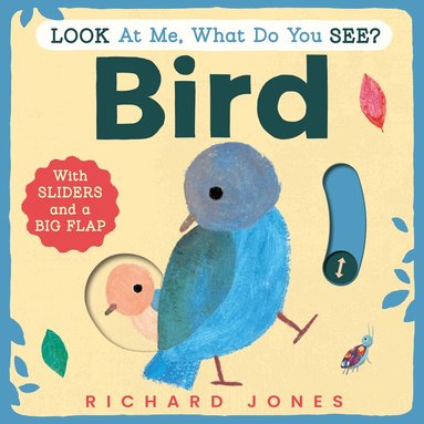 Richard Jones - Look at Me, What Do You See? Bird, Kartonnage