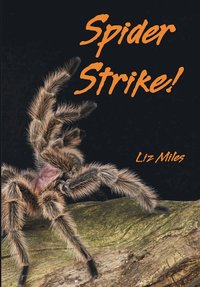 bokomslag Spider Strike!