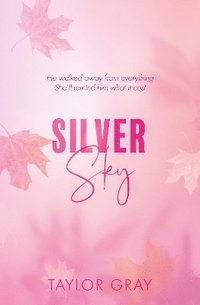 bokomslag Silver Sky