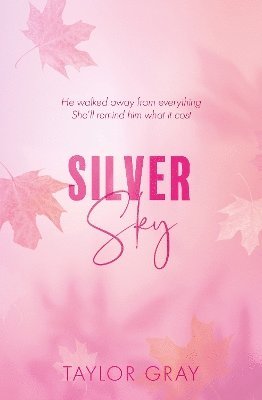 bokomslag Silver Sky