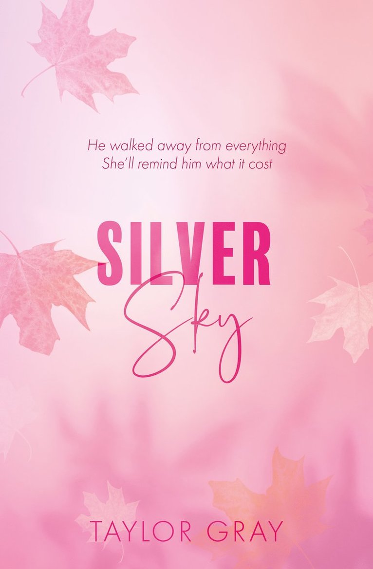 Taylor Gray - Silver Sky, Häftad