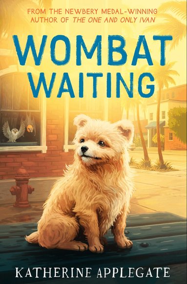 Katherine Applegate - Wombat Waiting, Häftad