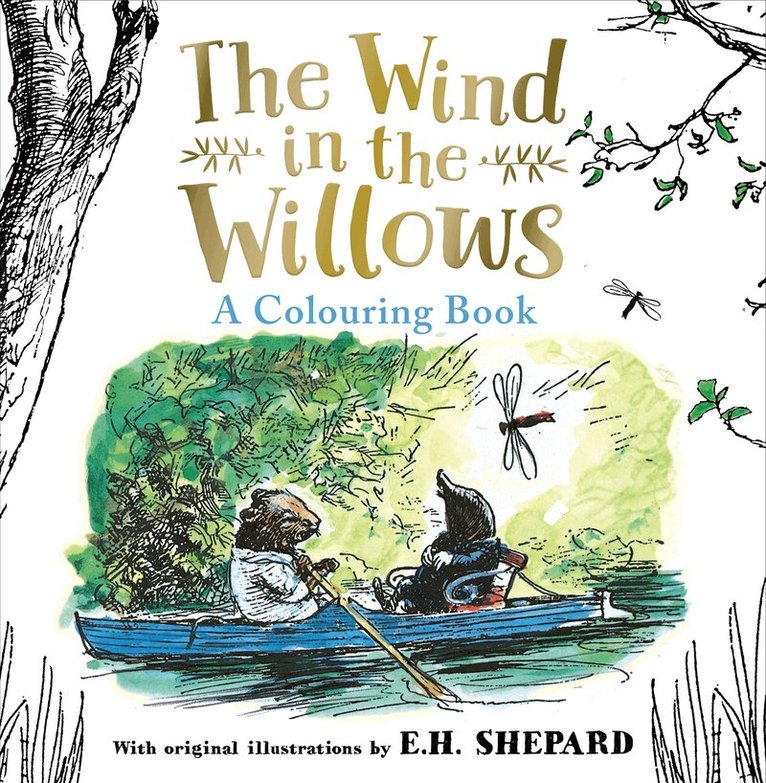 Wind in the Willows Colouring Book