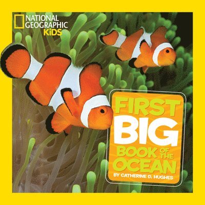 Little Kids First Big Book of The Ocean