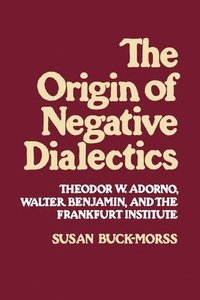 bokomslag Origin of Negative Dialectics
