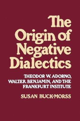 Origin of Negative Dialectics 1