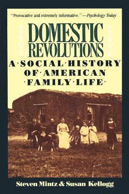 Steven Mintz, Susan Kellogg - Domestic Revolutions, Häftad