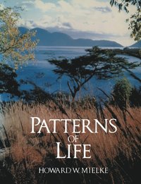 bokomslag Patterns of Life: Biogeography of a Changing World