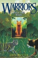 bokomslag Into the Wild