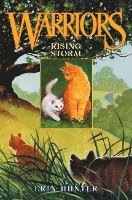 Rising Storm 1