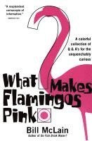 bokomslag What Makes Flamingos Pink?: A Colorful Collection of Q & A's for the Unquenchably Curious