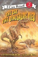 bokomslag Day The Dinosaurs Died