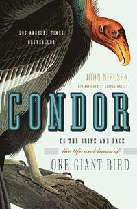 bokomslag Condor