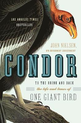 Condor 1