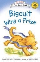 bokomslag Biscuit Wins A Prize