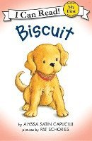 bokomslag Biscuit