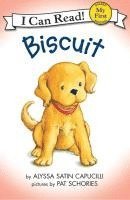 Biscuit 1