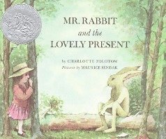 bokomslag Mr Rabbit and the Lovely Present