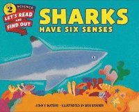 bokomslag Sharks Have Six Senses