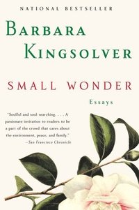 bokomslag Small Wonder: Essays