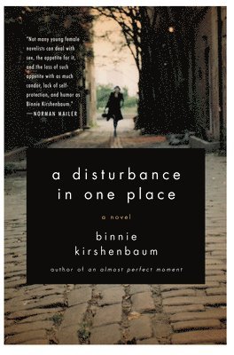 Binnie Kirshenbaum - Disturbance in One Place, Häftad