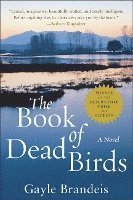 bokomslag The Book of Dead Birds