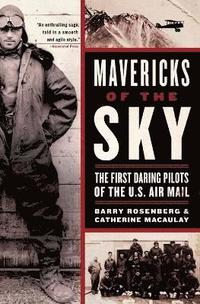 bokomslag Mavericks Of The Sky