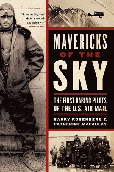 bokomslag Mavericks Of The Sky