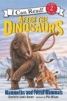 Charlotte Lewis Brown - After the Dinosaurs, Häftad