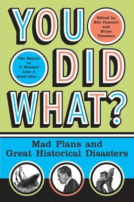bokomslag You Did What?: Mad Plans and Great Historical Disasters
