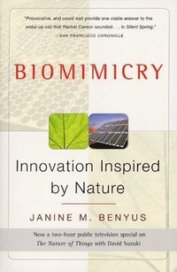 bokomslag Biomimicry: Innovation Inspired by Nature