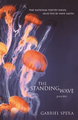 bokomslag Standing Wave Tpb