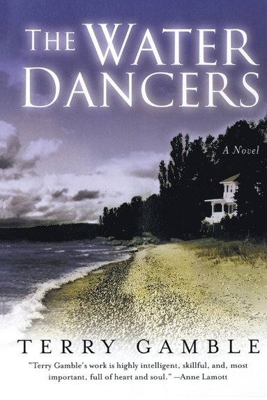 bokomslag The Water Dancers