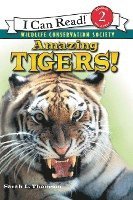 bokomslag Amazing Tigers!
