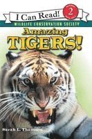 Sarah L. Thomson - Amazing Tigers!, Häftad