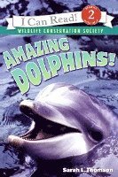 bokomslag Amazing Dolphins!