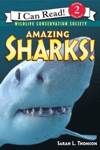 bokomslag Amazing Sharks!