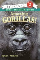 bokomslag Amazing Gorillas!