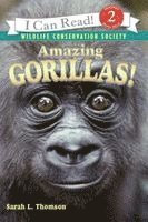 Sarah L. Thomson - Amazing Gorillas!, Häftad