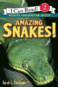 bokomslag Amazing Snakes!