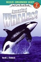 bokomslag Amazing Whales!