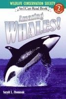 Amazing Whales! 1